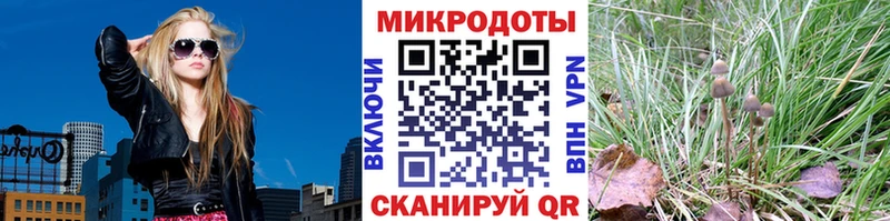 Купить закладки  Горбатов  Галлюциногенные грибы Psilocybine cubensis 